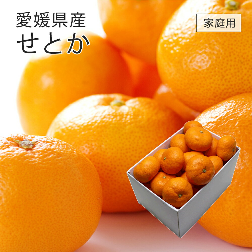楽天市場】せとか 5kg 2lの通販 楽天市場】せとか 5kg 2lの通販