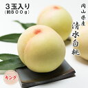 2025 お中元 岡山県産 清水白桃 3玉 約800g キング 光センサー選果 化粧箱入り 桃 フルーツ 白桃 ギフト プレゼント 7月下旬頃より発送