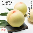 2025 お中元 岡山県産 清水白桃 5〜6玉 約1.5kg 最上等級 ロイヤル 光センサー選果 化粧箱入り 桃 フルーツ 白桃 ギフト プレゼント 7月下旬頃...