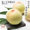 2025 お中元 岡山県産 清水白桃 大玉 9〜12玉 約3kg 最上等級 ロイヤル 光センサー選果 化粧箱入り 桃 フルーツ 白桃 ギフト プレゼント 7月下...