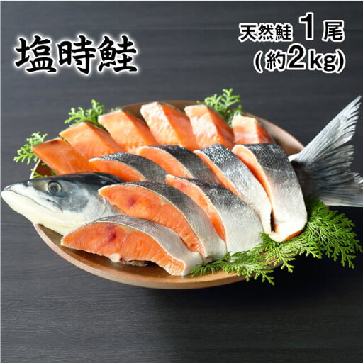 バーベキュー 塩時鮭 天然物 1尾/約2kg 約10人前 ギフト 海産物 バーベキュー 塩時鮭 天然物 1尾/約2kg 約10人前 ギフト 海産物