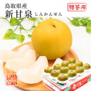 (9月上旬頃より順次発送) 鳥取県産 梨 新甘泉 しんかんせん 青秀 L〜2Lサイズ 16〜18玉入り 約5kg なし ナシ フルーツ