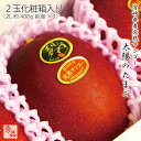 (4月下旬頃より発送) 宮崎県産 太陽のタマゴ 完熟マンゴー 太陽のたまご 化粧箱入り 2L 2玉入り 贈り物 プレゼント ギフト
