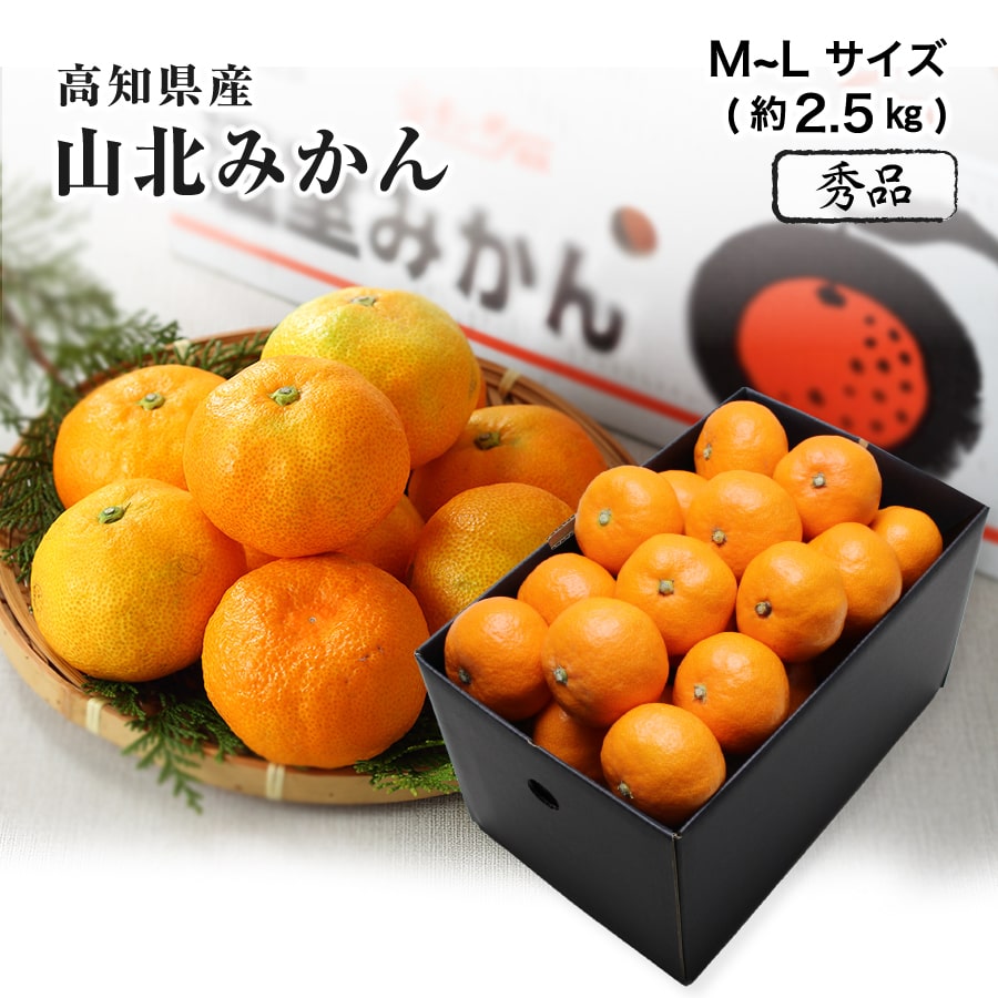 みかん 高知県産 山北温室みかん 温州みかん 秀品 M～Lサイズ 2.5kg みかん 夏 フルーツ