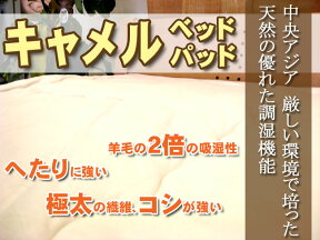 キャメル 国産 日本製 クィーンサイズ サイズオーダー可能吸湿性がウールの2倍！送料無料＆ポイント付きキャメルベッドパッド クィーンサイズ（160×200cm）