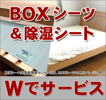 【送料無料】【代金引換不可】【ネットショップ限定販売】【腰痛・背痛】天然ラテックスフォーム100%使用、柔らかいのにしっかりと身体を支えてくれます!ボディドクター敷きふとん「ボディドクターFuton5」シングルサイズ(97cm幅)