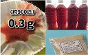 【送料無料】最強餌3点セット！　タマミジンコ生体0．3g（約