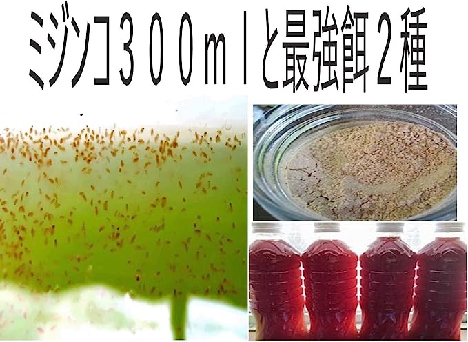 【商品説明】 タマミジンコ0．3g（900匹以上＋培養飼料＋psb細菌100ml） めだか専門の当社が自信を持ってお届けします！ 高品質な生体をお得な価格で出品中です！ 【注意事項】 ・商品到着後、数や商品に間違いがないか必ずご確認の上開封してください。 （開封後は死着保証の対象外となります） ・不具合がありましたら開封せず、お写真と共にお問い合わせください。 ・到着後の管理につきましては自己責任となりますのでご了承ください。 ・メダカを飼うためには必要な用品があります。 ご購入前に事前に揃えておくのをオススメします。 ・稀ではありますが他生物が混入してしまう場合がございます。 ・モニター環境によって実際のものと色味に違いが出る可能性がございます。 【死着保証について】 ・死着した場合返金対応させていただきます。 ・到着後1日以内に開封せずお写真と共にお問い合わせください。 ・お客様都合で受け取りが遅れた場合の保証はしておりません。