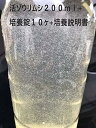 【送料無料】濃縮ゾウリムシ 200ml 生体 ＋ 酵母錠 10ヶ ＋ 培養説明書 付き 液体 おすすめ 高品質 ミジンコ 大容量 微生物