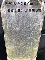 【送料無料】濃縮ゾウリムシ 200ml（生体）＋ 酵母錠 10ヶ ＋ 培養説明書 付き 液体　おすすめ　高品質　ミジンコ　大容量　微生物