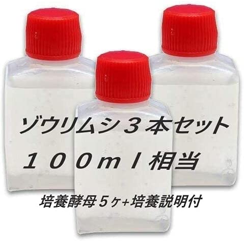 【送料無料】ゾウリムシ高密度100ml （タレビン3本に入れて発送）（インフゾリア・ゾウリムシ生体）