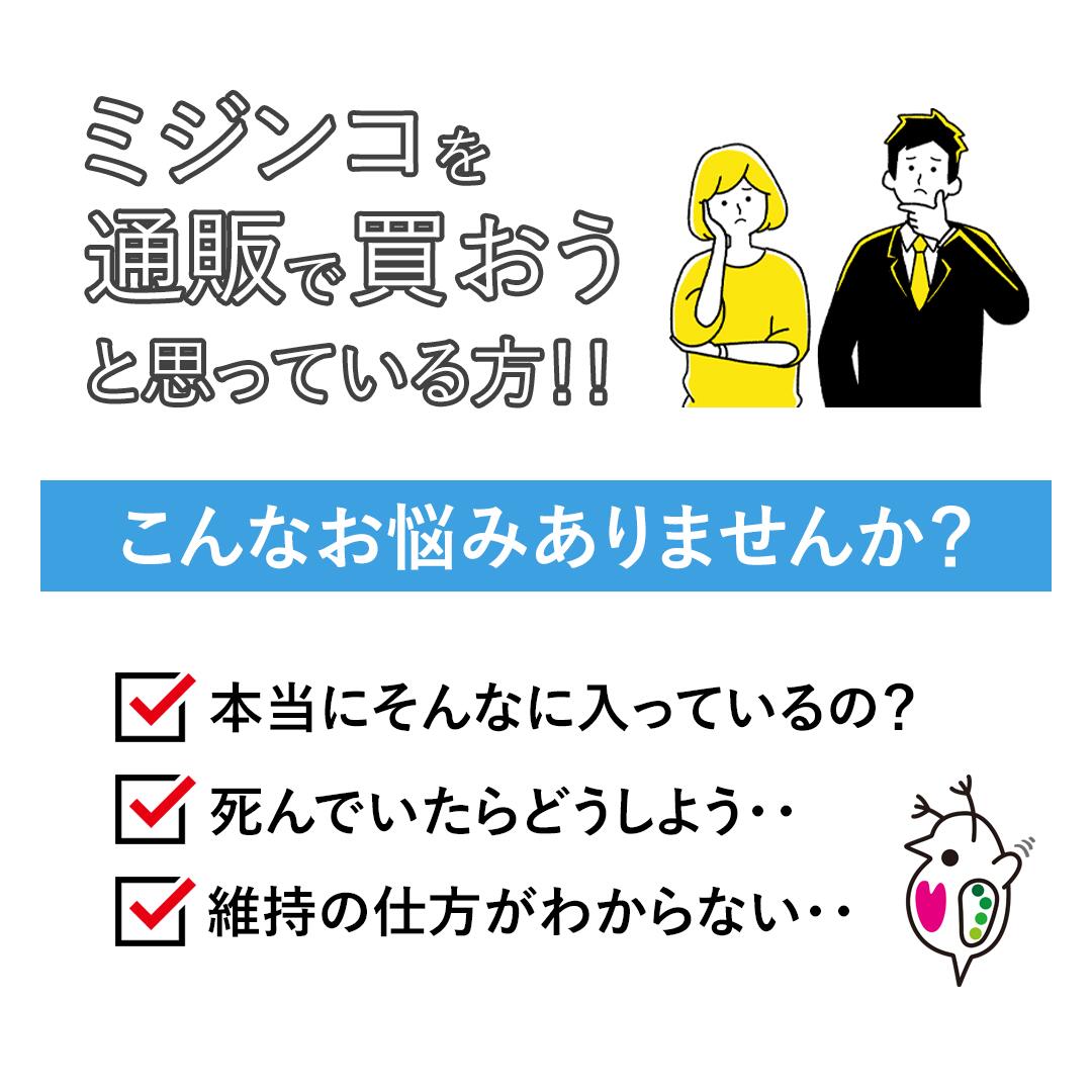 【送料無料】タマミジンコ生体約60ml（タレビン2本に入れて発送）　まとめ売り　めだか　メダカ　初心者　おすすめ　高品質　ミジンコ　大容量　微生物 2