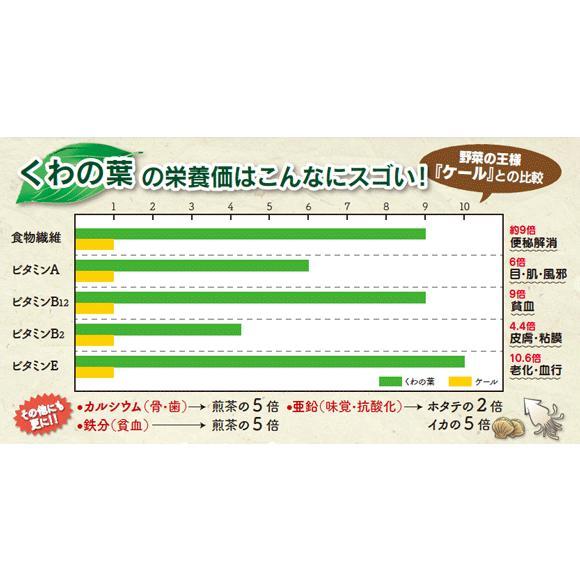 水彩マート楽天市場店の桑の葉茶 粉末 大阿蘇の森くわ粉茶 熊本県産 無農薬　国産 桑茶｜アングル3