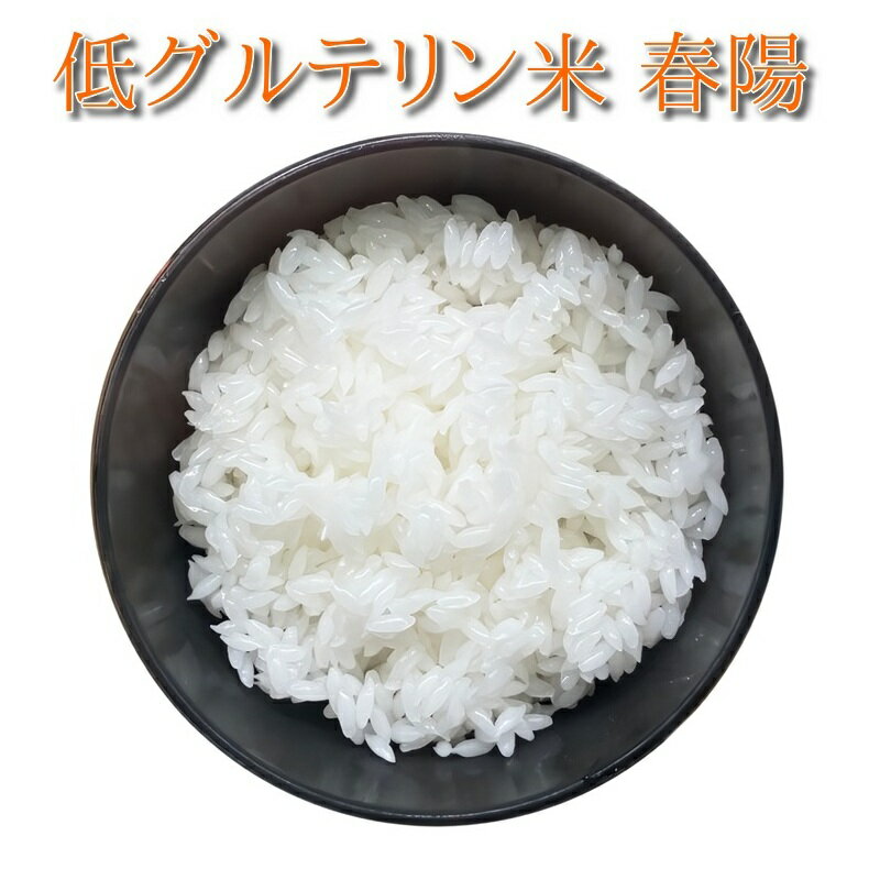 宮城県産　低たんぱく米 『春陽』 白米5K　低タンパク米　産地直送