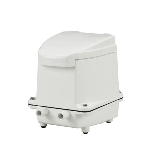 unimb80.jpg