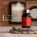 サンシャインアイ アイケア アイケアサプリメント ルテイン ブルーベリー 深海鮫肝油 マリンゴールド 送料無料 母の日 健康 美容 スクワレン 60粒 (30日...