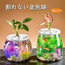 金魚鉢 丸型金魚鉢 水槽 オールインワン水槽 飼育水槽 メダカ 水槽 メダカ鉢 透明アクリル 観葉植物 インテリア 容器 テーブル アクアリウム ボウル 水培 大容量 おしゃれ メダカ 鉢 水耕栽培プランター 転倒防止
