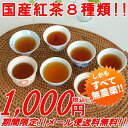 無農薬国産紅茶のお試しセット(8種類) 【メール便指定で送料無料の和紅茶】【静岡産】【通販】【smtb-F】【HLS_DU】