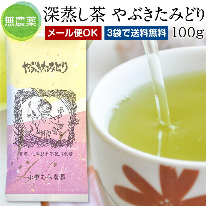 2024年新茶♪　深蒸し茶『やぶきた