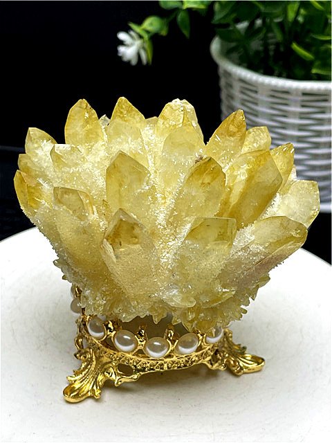 シトリンクラスター 事業運・金運  台座 付き  送料無料 59D04/B89D6