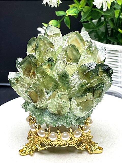 グリーンクラスター 送料無料 72U03/189U6