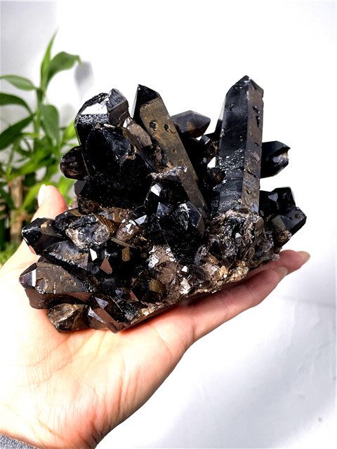 黒水晶 クラスター モリオン  魔除け   送料無料 108C47D/YT7C6