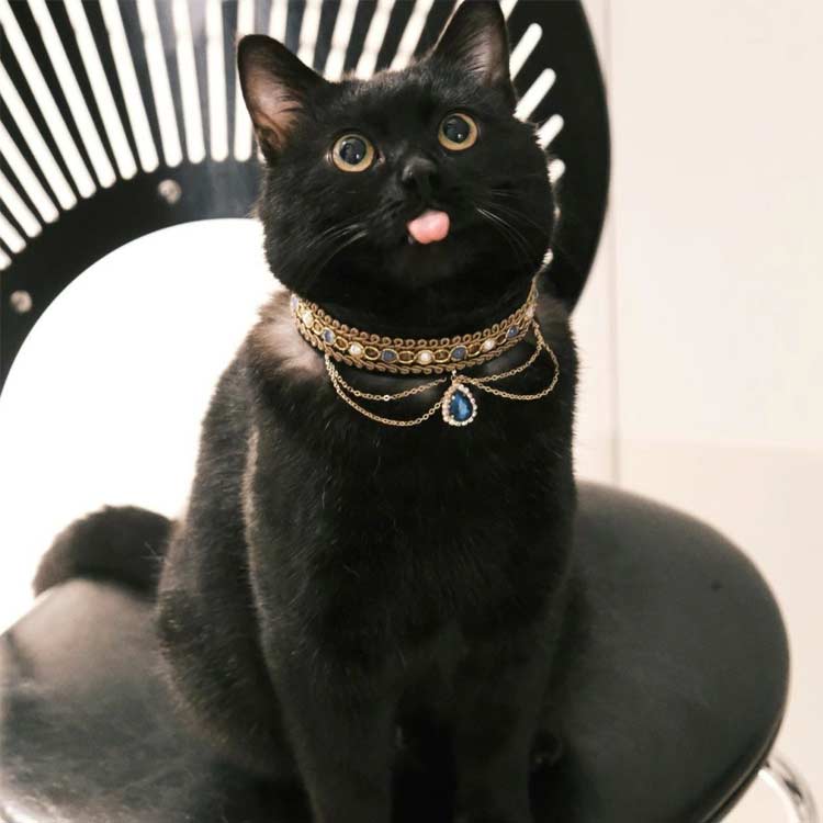 ペットネックレス 可愛い エジプト風 猫用小型犬 首輪 ネックレス 猫用首輪 ライン...