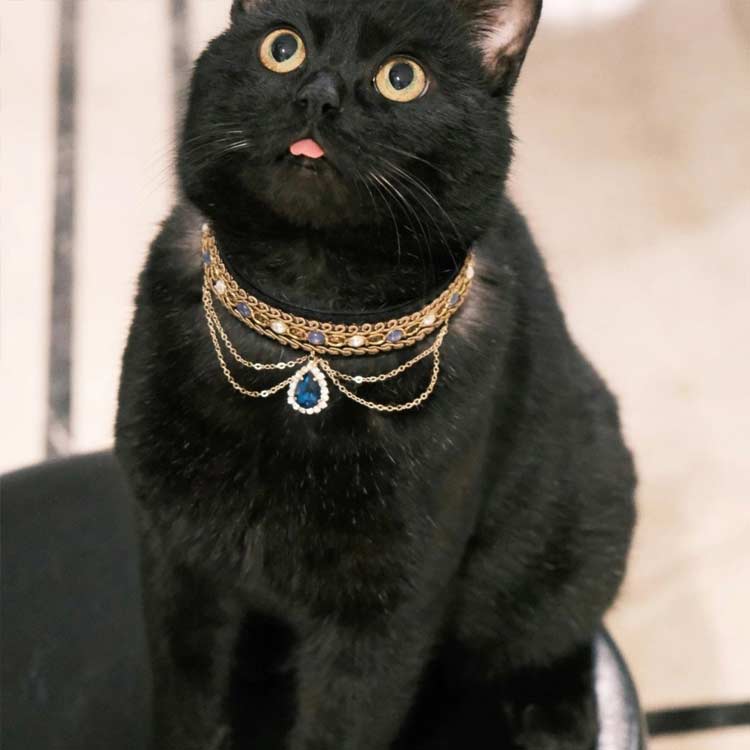 ペットネックレス 可愛い エジプト風 猫用小型犬 首輪 ネックレス 猫用首輪 ライン...