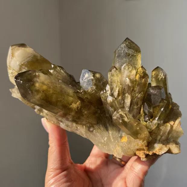 天然シトリンクラスター事業運・金運  送料無料  YS/679/0101D