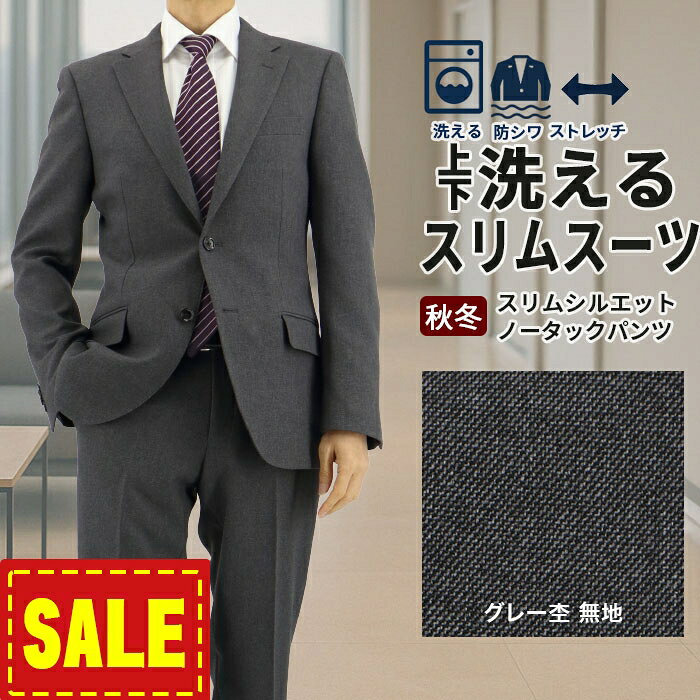 【SALE10%OFF】 スーツ スリム メンズ グレー 無地 ストレッチ 防シワ ナロースーツ 2025 新作 秋冬 春 即日出荷 ノータックパンツ 洗える 家庭洗濯 ウォッシャブル機能 面接 リクルート 就職 結婚式 成人式 ニ次会 2FSK32-13