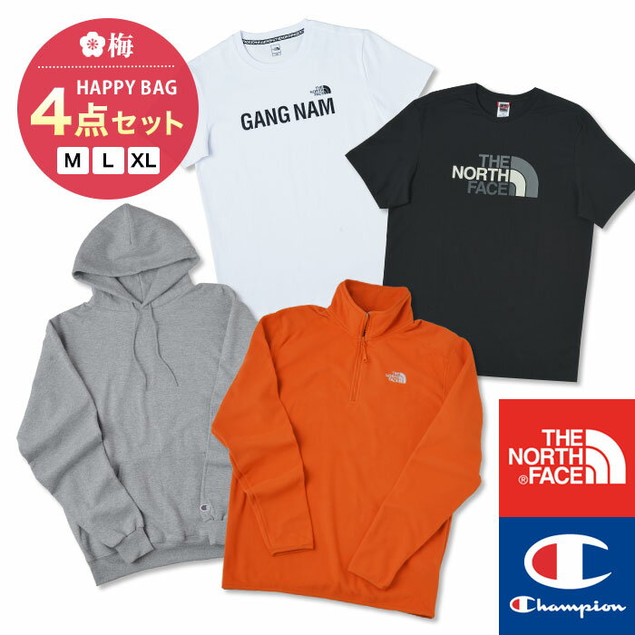 【数量限定】ブランド 福袋 4点セット メンズ The North Face Champion Tシャツ フーディー フリース