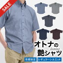 【スーパーSALE 10%OFF】 【新作】 半袖 ワイシャツ ボタンダウン クールビズ 夏 涼しい 形態安定 イージーケア レギュラーシルエット 防シワ 形状記憶 半袖シャツ 標準体 ビジネス ビジカジ メンズ カジュアル お洒落 カッターシャツ Yシャツ ドレスシャツ チェック