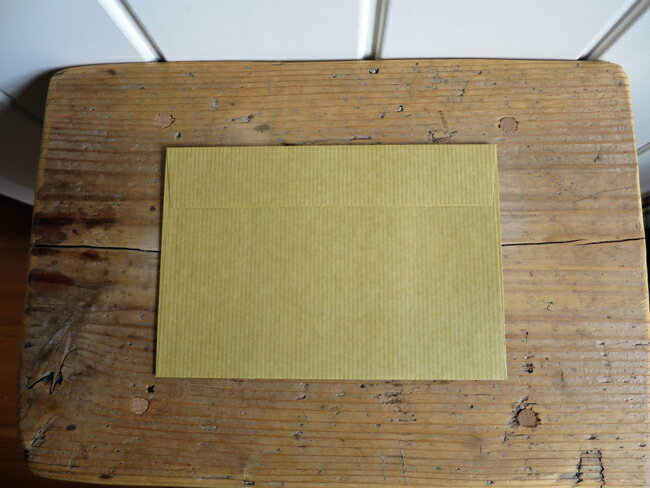 MUCU �९ EMVELOPE��TARPORIN EV��A