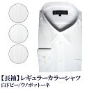 簡単ケア シャツ 白ドビー レギュラーカラー shirts カッターシャツ メンズシャツ ビジネスシャツ ワイシャツ Yシャツ 紳士服 オフィス（3L）