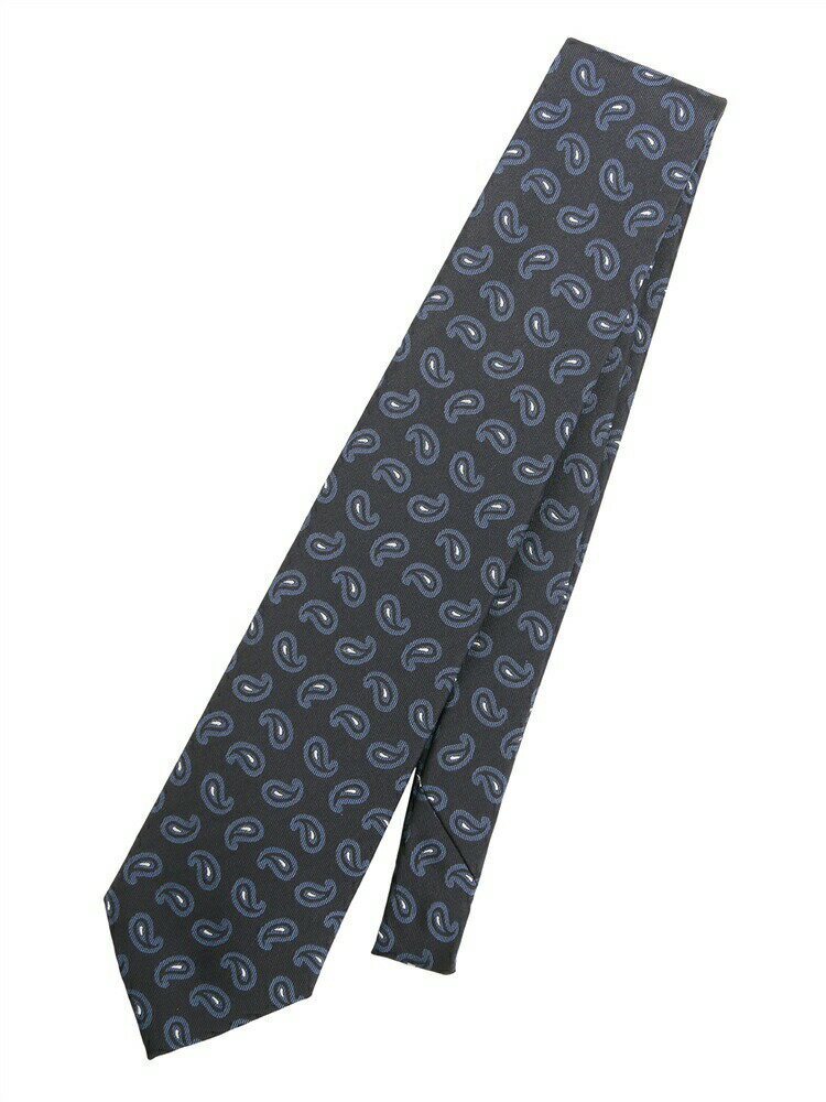 ネクタイ メンズ fiorio シルク ペイズリー ネイビー系 ユニバーサルランゲージ スーツスクエア