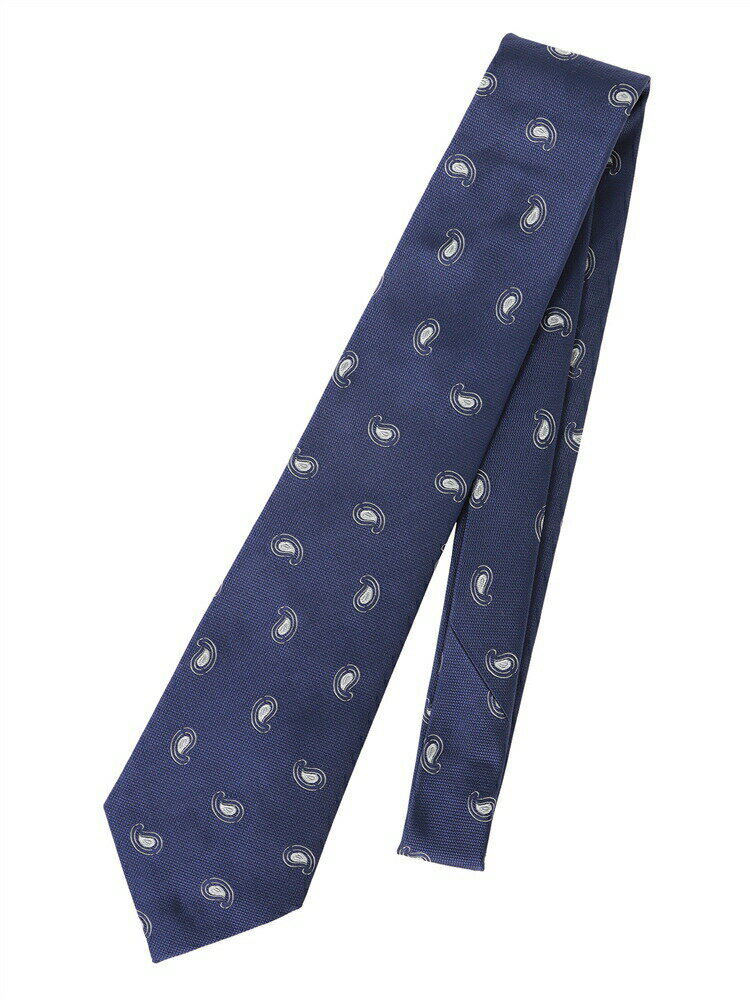 ネクタイ メンズ PYLOOT シルク ペイズリー×織柄 ブルー系 ユニバーサルランゲージ スーツスクエア