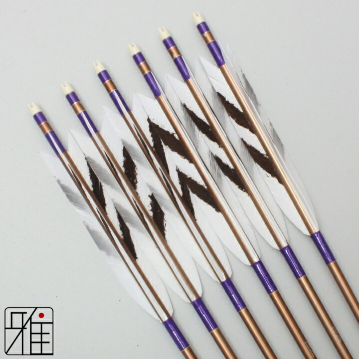 弓道 矢 ジュラルミン矢 6本組ターキー手描染羽 1913シャフト茶矧糸：紫系 【送料無料】翠山弓具店 sui..