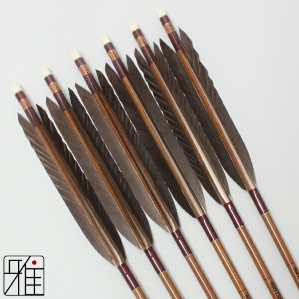 弓道 矢 イーストン カーボン矢 6本組黒手羽 8023シャフト矧糸:赤系　【送料無料】翠山弓具店 suizanす..