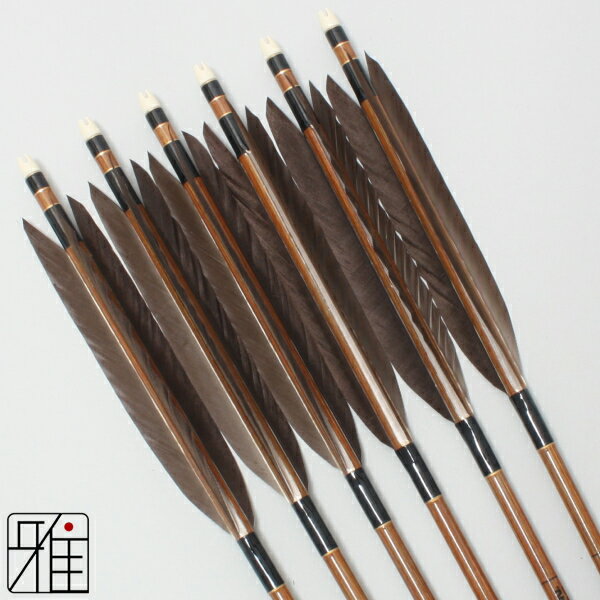 弓道 矢 イーストン カーボン矢 6本組黒手羽 8023シャフト矧糸:黒系　【送料無料】翠山弓具店 suizanす..