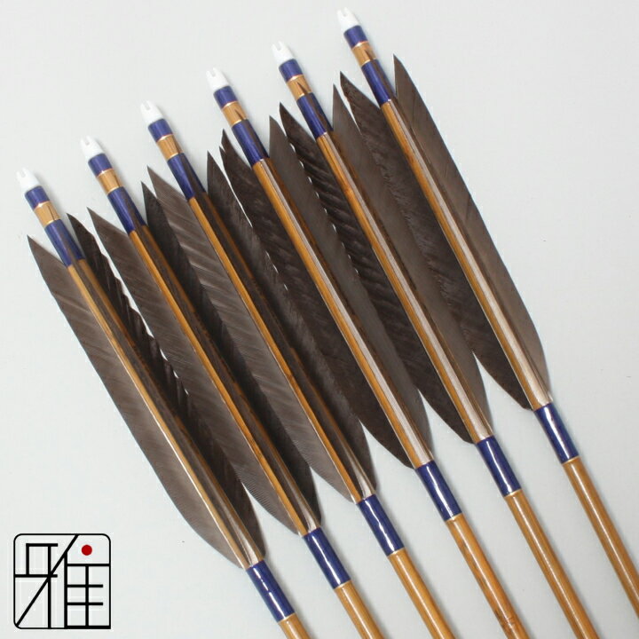 弓道 矢 ミズノ カーボン矢 6本組黒手羽 WENEW 80BCシャフト矧糸:青系 【送料無料】翠山弓具店 suizanすいざんきゅうぐてん 【YA80152】