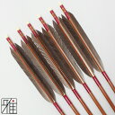 弓道 矢 ハヤブサ カーボン矢 6本組黒手羽 7622シャフト矧糸:赤系 【送料無料】翠山弓具店 suizanすいざんきゅうぐてん 【YA76088】