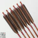 弓道 矢 ハヤブサ カーボン矢 6本組黒手羽 7622シャフト矧糸:赤系 【送料無料】翠山弓具店 suizanすいざんきゅうぐてん 【YA76091】