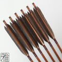 弓道 矢 ハヤブサ カーボン矢 6本組黒手羽 8025シャフト矧糸:茶系 【送料無料】翠山弓具店 suizanすいざんきゅうぐてん 【YA80065】