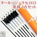 弓道 矢 ジュラルミン矢 3点セット【セット内容】・ターキー染羽 1913シャフト 6本組・棒矢・矢筒WEB限定 【送料無料】翠山弓具店 suizanすいざんきゅうぐてん 【80202-1】