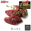 鳥取県産牛ハラミ 焼き肉用 100g【焼肉 おうち焼肉 おうち焼き肉 お肉 BBQ バーベキュー 和牛 黒毛和牛 ブランド牛 牛肉 肉 母の日 父の日 寒中見舞い 御祝 御礼 誕生日 入学お祝い 卒業お祝い】