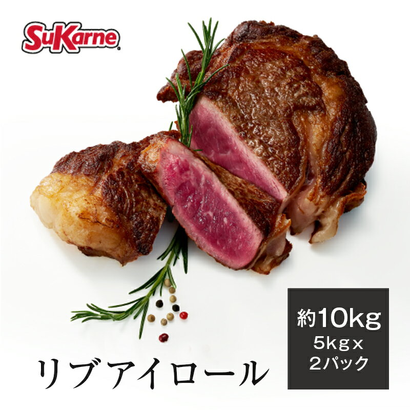 【ふるさと納税】おおいた和牛 リブロースステーキ (計500g・リブロースステーキ約250g×2枚+ステーキソース20g×2袋) 国産 牛肉 肉 霜降り 低温熟成 ステーキ A4 和牛 ブランド牛 BBQ 冷凍 大分県 佐伯市【DH69】【(株)ネクサ】