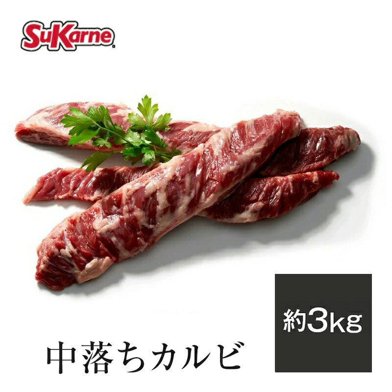 【25％OFFクーポン対象！5/16 01:59まで】冷凍中落ちカルビ 約2.6～3kg リブフィンガー カルビ 塊肉 グレインフェッドビーフ 穀物肥育 焼き肉 サイコロステーキ バーベキュー ステーキ BBQ 牛肉 中落ち 牛肉 お肉 贈り物 お祝い 牛肉 お取り寄せグルメ