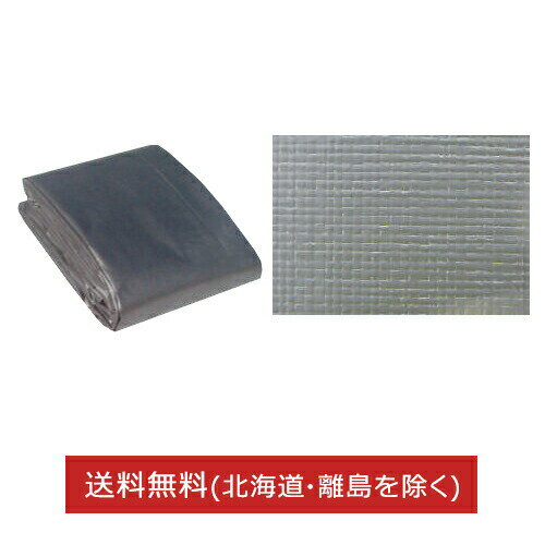 【ポイント10倍】UVシート シルバー #4000 5.4m×5.4m 1枚