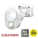 y|Cg10{z4W~1 LED ZT[Cg h 