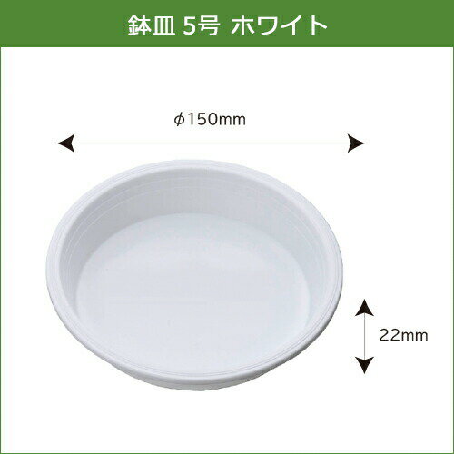 �ڥݥ����20�ܡ�ȭ�� 5�� 360�ĥ��å� ȭ���� ����ȭ �����ǥ˥�